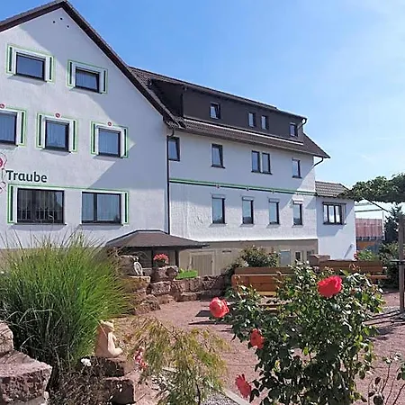 Hotel Traube Seewald