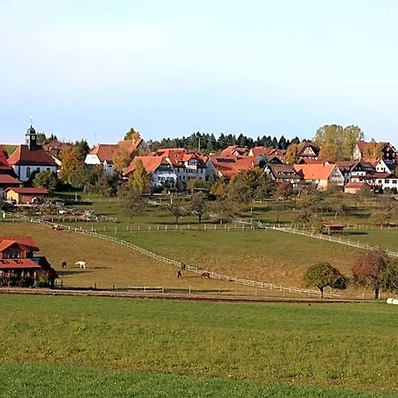 Hotel Traube *